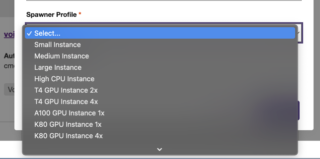 spawner profile options